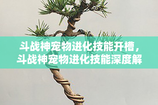 斗战神宠物进化技能开槽，斗战神宠物进化技能深度解析，如何让你的宠物更上一层楼？