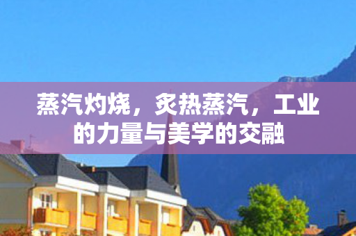 蒸汽灼烧，炙热蒸汽，工业的力量与美学的交融