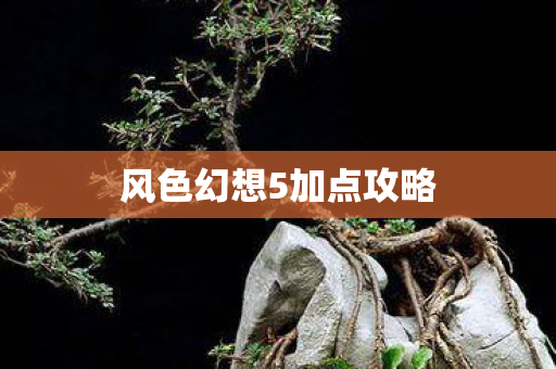 风色幻想5加点攻略