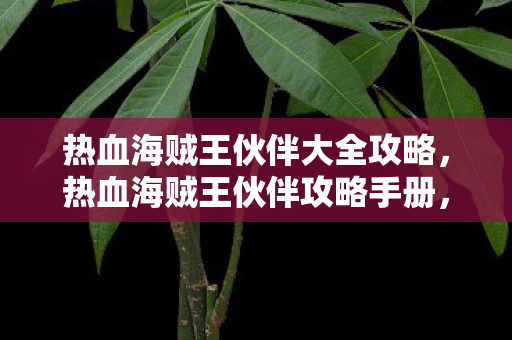 热血海贼王伙伴大全攻略，热血海贼王伙伴攻略手册，全面解析你的航海伙伴