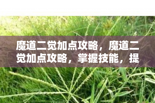 魔道二觉加点攻略，魔道二觉加点攻略，掌握技能，提升战斗力