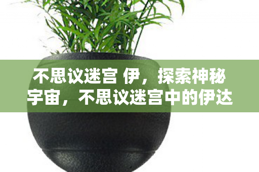 不思议迷宫 伊，探索神秘宇宙，不思议迷宫中的伊达星之谜