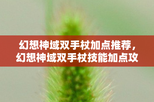 幻想神域双手杖加点推荐，幻想神域双手杖技能加点攻略与解析