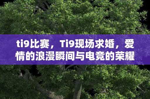 ti9比赛，Ti9现场求婚，爱情的浪漫瞬间与电竞的荣耀时刻交织