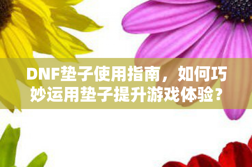 DNF垫子使用指南，如何巧妙运用垫子提升游戏体验？