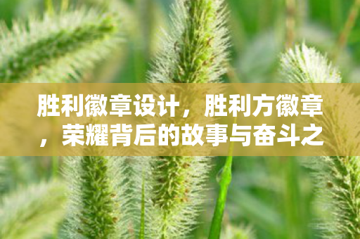 胜利徽章设计，胜利方徽章，荣耀背后的故事与奋斗之路