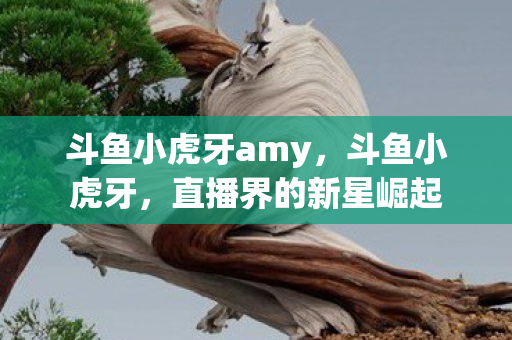 斗鱼小虎牙amy，斗鱼小虎牙，直播界的新星崛起