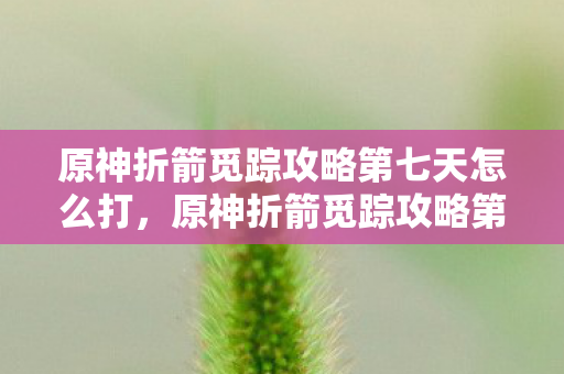 原神折箭觅踪攻略第七天怎么打，原神折箭觅踪攻略第七天，深入探索，揭秘隐藏任务