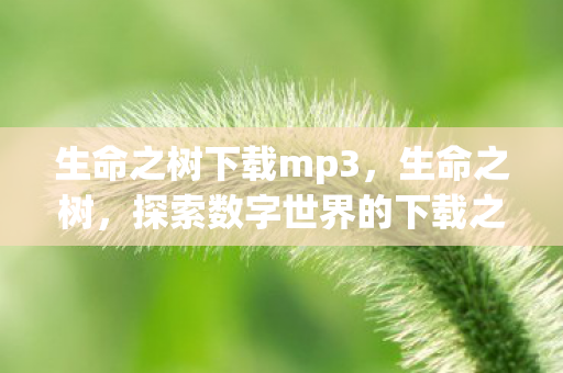 生命之树下载mp3，生命之树，探索数字世界的下载之旅