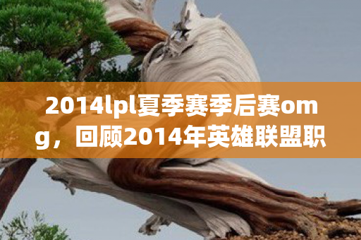 2014lpl夏季赛季后赛omg，回顾2014年英雄联盟职业联赛季后赛，战火重燃，英雄荣耀时刻