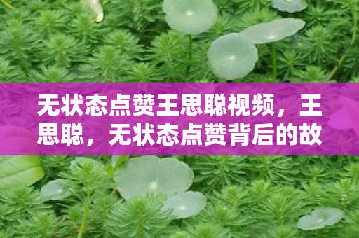 无状态点赞王思聪视频，王思聪，无状态点赞背后的故事