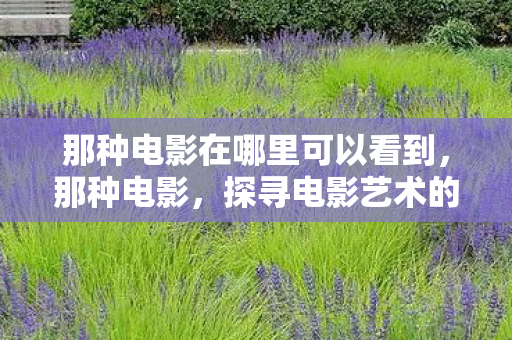 那种电影在哪里可以看到，那种电影，探寻电影艺术的无限魅力