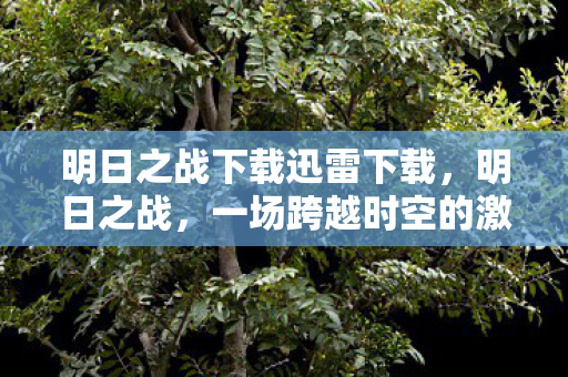 明日之战下载迅雷下载，明日之战，一场跨越时空的激战下载