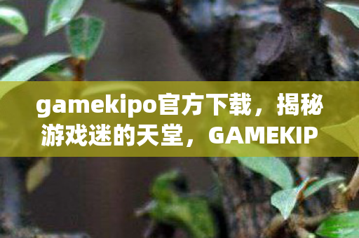 gamekipo官方下载，揭秘游戏迷的天堂，GAMEKIPO