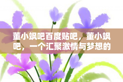 董小飒吧百度贴吧，董小飒吧，一个汇聚激情与梦想的社区