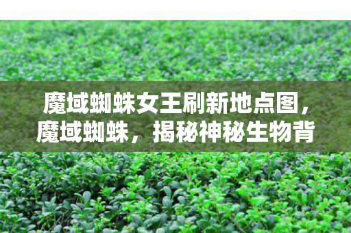 魔域蜘蛛女王刷新地点图，魔域蜘蛛，揭秘神秘生物背后的故事