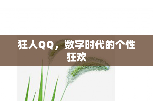 狂人QQ，数字时代的个性狂欢
