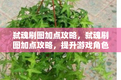 弑魂刷图加点攻略，弑魂刷图加点攻略，提升游戏角色战斗力的关键