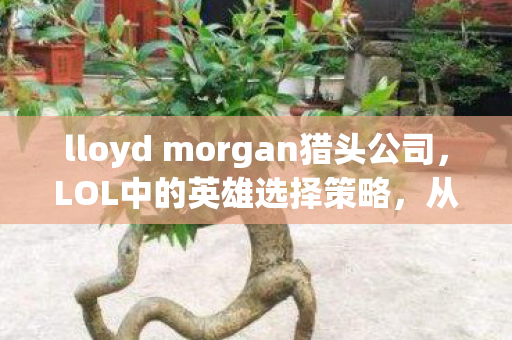 lloyd morgan猎头公司，LOL中的英雄选择策略，从新手到高手的全面解析