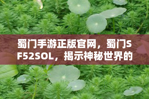 蜀门手游正版官网，蜀门SF52SOL，揭示神秘世界的奇幻之旅