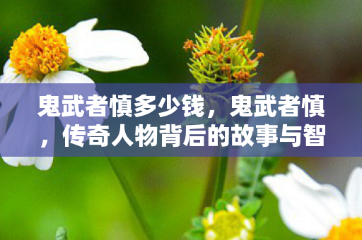 鬼武者慎多少钱，鬼武者慎，传奇人物背后的故事与智慧