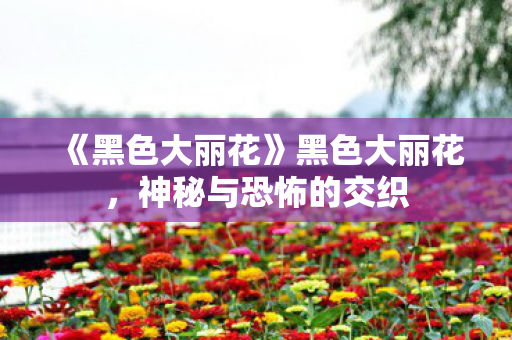 《黑色大丽花》黑色大丽花，神秘与恐怖的交织