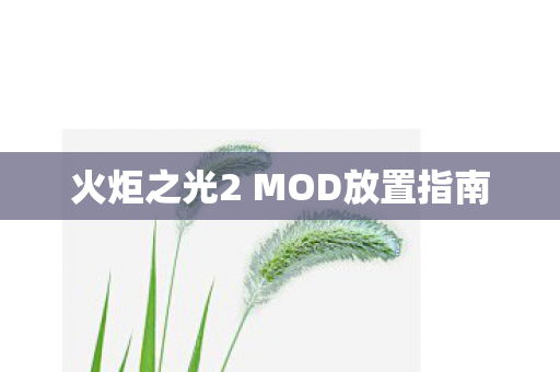 火炬之光2 MOD放置指南
