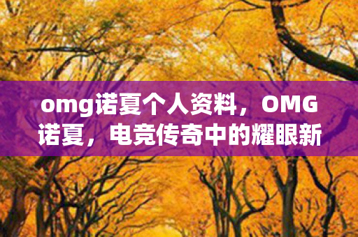 omg诺夏个人资料，OMG诺夏，电竞传奇中的耀眼新星