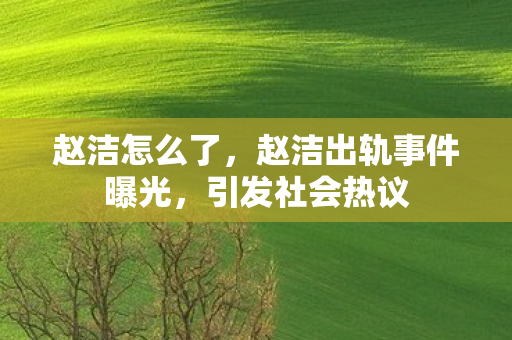 赵洁怎么了，赵洁出轨事件曝光，引发社会热议