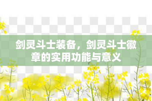 剑灵斗士装备，剑灵斗士徽章的实用功能与意义