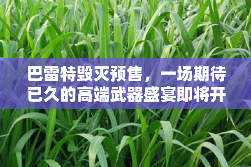 巴雷特毁灭预售，一场期待已久的高端武器盛宴即将开启