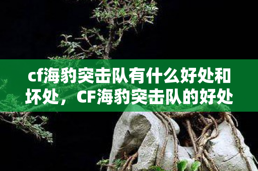 cf海豹突击队有什么好处和坏处，CF海豹突击队的好处，游戏中的精英力量