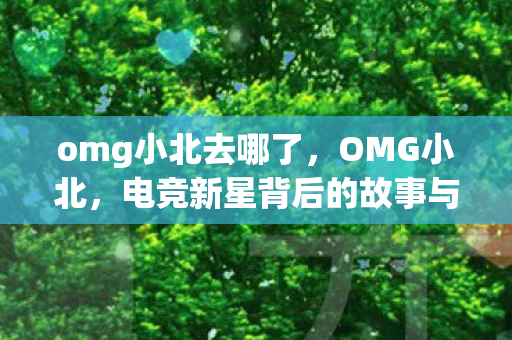 omg小北去哪了，OMG小北，电竞新星背后的故事与奋斗之路
