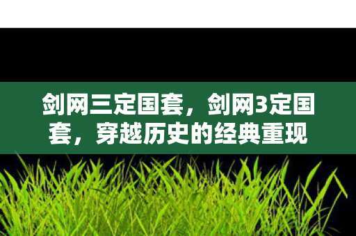 剑网三定国套，剑网3定国套，穿越历史的经典重现