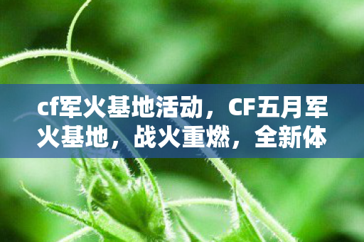 cf军火基地活动，CF五月军火基地，战火重燃，全新体验