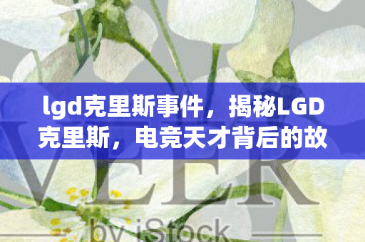 lgd克里斯事件，揭秘LGD克里斯，电竞天才背后的故事