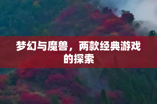 梦幻与魔兽，两款经典游戏的探索