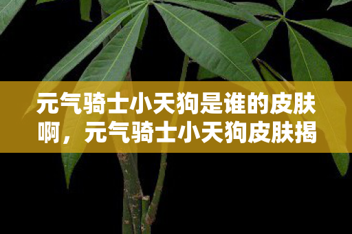 元气骑士小天狗是谁的皮肤啊，元气骑士小天狗皮肤揭秘