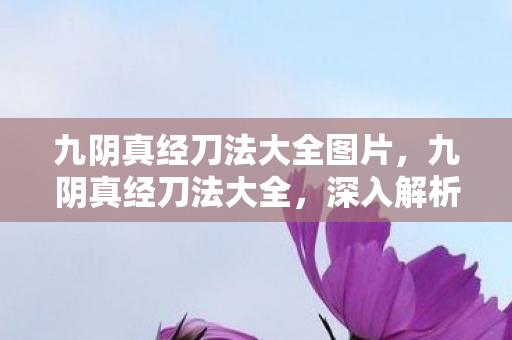 九阴真经刀法大全图片，九阴真经刀法大全，深入解析古代武学秘籍中的刀术精华
