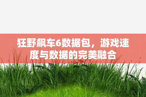 狂野飙车6数据包，游戏速度与数据的完美融合