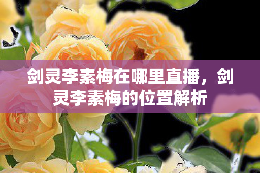 剑灵李素梅在哪里直播，剑灵李素梅的位置解析