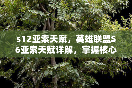 s12亚索天赋，英雄联盟S6亚索天赋详解，掌握核心，制霸战场