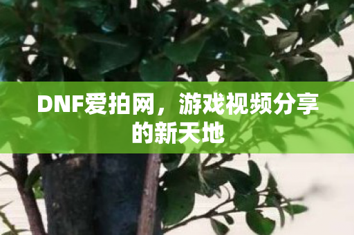 DNF爱拍网，游戏视频分享的新天地