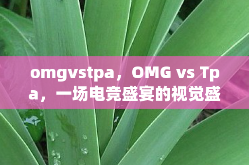 omgvstpa，OMG vs Tpa，一场电竞盛宴的视觉盛宴