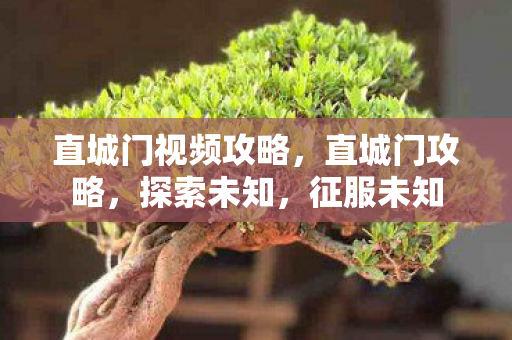 直城门视频攻略，直城门攻略，探索未知，征服未知