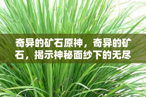 奇异的矿石原神，奇异的矿石，揭示神秘面纱下的无尽奥秘