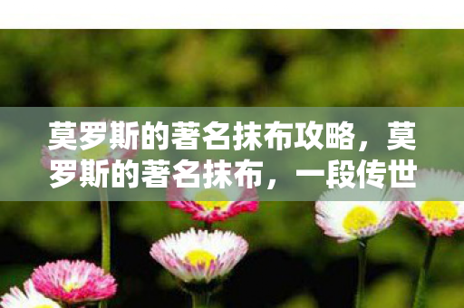 莫罗斯的著名抹布攻略，莫罗斯的著名抹布，一段传世故事的启示