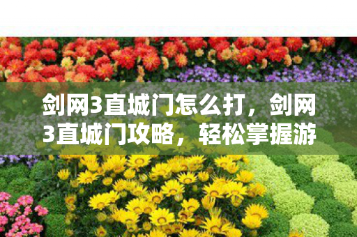 剑网3直城门怎么打，剑网3直城门攻略，轻松掌握游戏核心玩法