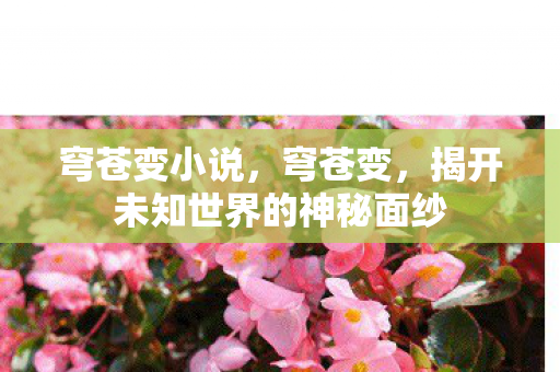 穹苍变小说，穹苍变，揭开未知世界的神秘面纱