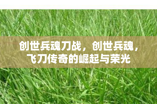 创世兵魂刀战，创世兵魂，飞刀传奇的崛起与荣光